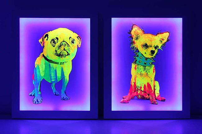 Fluorescent paintings with UV LED frame